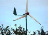 1000W Wind Turbine Generator (HF3.2-1000W)