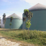 Biogas Power Plant in Malaysia (H series)