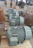 Low Speed Permanent Magnet Generator for Hydro Turbine