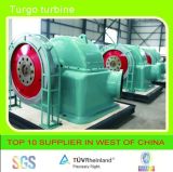 Turgo Turbine With Sychronous Generator