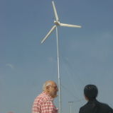 Low Rpm Wind Turbine Generator 3000W Power System