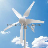 Small Wind Turbine (HY-400L)