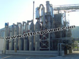 600kw/750kVA Biomasss Generating Set