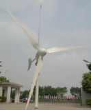 2kw Home Wind Generator (AN-FD-2KW)