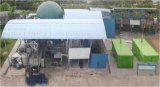 100kw Turnkey Poultry Waste Treatment Biogas Power Plant/ Biomass Power Plant/Biogas Scubber/Biogas Bag/Biogas Holder/ Biogas Tank/ with CE/ISO Approved