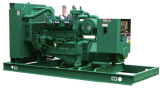 CE ISO 20-100 Kw Biogas Gas Generator/Marsh Gas Generator