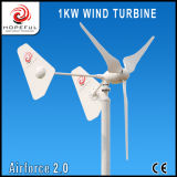1kw Power Generation Wind Energy System Price Home