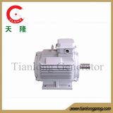 Ff-20kw/375rpm/AC400V Permanent Magnet Alternator (PMG/PMA/Hydro)