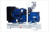 Diesel Generator Set (LG50P)