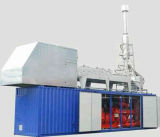 Pellet Plant/Biomass Power Generation (LYBG1000)