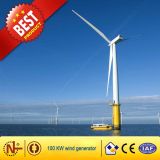 Big Wind Power Generator/Wind Turbine (100kw)