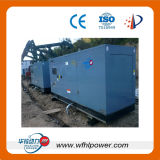 Natural Gas/ Diesel Generator 250 kVA