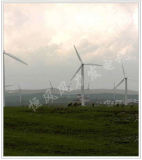 Wind Power Generator (HF11.0-15KW)