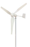 WT Series Wind Turbine Generator System