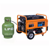 LPG LNG Single Phase Portable Generator