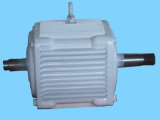 Double Shaft Horizontal Wind Permanent Magnet Generator/ Alternator (1kw)