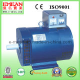 10kw Electric Small Synchronous AC Alternator Stc/St
