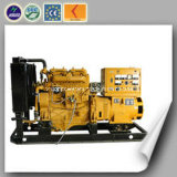 Mini Power Natural Gas Genset with CE and ISO Certificate (20KW)