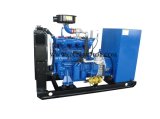 30kw Biogas Generator Set (YF30W-BG)