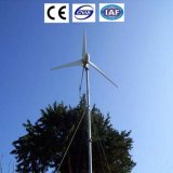 600W 1000W Wind Turbine