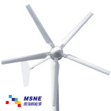3kw Wind Turbines Generator Set for Solar Hybrid System (MS-WT-3000)