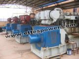 600kw/750kVA Biomass Generator Set