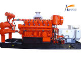 300kw Natural Gas Generator Set with CE Certification