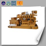 CE/ISO Approved Biomas Generator Set with Electric Generator From Plant