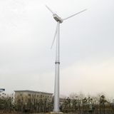 Grid Tied Wind Turbine Generator 50kw High Efficiency