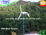 500W/600W/1kw Wind Turbine Project Cases