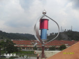 Magnetic Wind Power Generator 1000W for Home Use