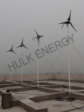 1000w High Efficiency Wind Turbine (HQ SERIES) 