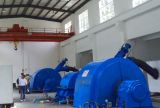 Water Turbine/ Pelton Turbine (double nozzle) / Hydro Turbine/ Turbine Generator Unit/High Quality