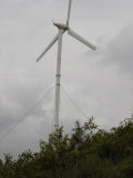 Fd8.0-10kw Domestic Wind Turbine