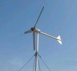 Wind Generator (FD-300W)