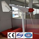 200W 300W Wind Turbine