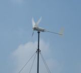 Solar Wind Turbine (WD300W)