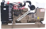 Gas Generator Set From 20KVA-400KVA (SED110NG)