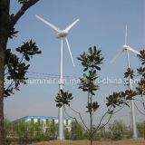 CE Approved Horizontal Axis Wind Turbine Generators for Grid-Tied System