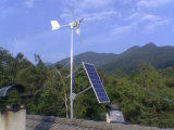 450W Wind Solar Hybrid System (WK-450)