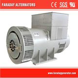 1900kVA/1520kw Brushless Alternator for Diesel Engine (FD7D)