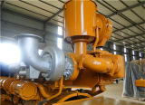 CE & ISO Standard Green Power Water Cooling 300kw Biogas Generator