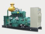 Gas Generator Set (TG Series)