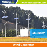 300W Small Wind Turbine Generator 220V