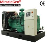 Biogas Generator 20-600kw/ CHP