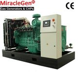 Biogas Generator 20-600kw/ CHP