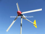 Wind Generator (500W)