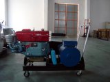Single Cylinder Small Diesel Generator/Changchai Diesel Generator