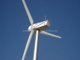 CE Approved 50kw Wind Turbine Generators for on-Grid System