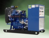 40kVA Gas Generator (YLG-C40N)